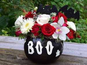 Boo Hoo Hoo Boo Hoo Hoo